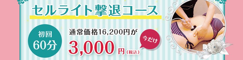 10㎏減量を応援する【痩身サロンFAVORIX】セルライト撃退コース　情報サイト